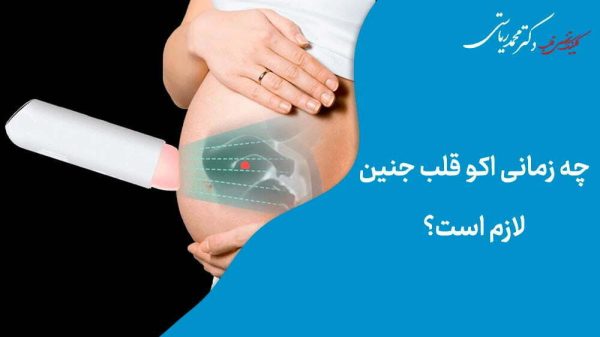 اکو قلب جنین در شکم مادر