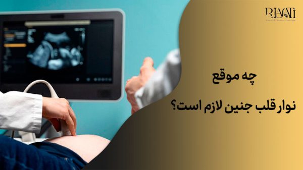 نوار قلب جنین